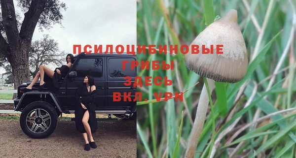трава Алексин