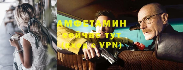 гидра Алексеевка