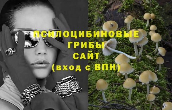 трава Алексин