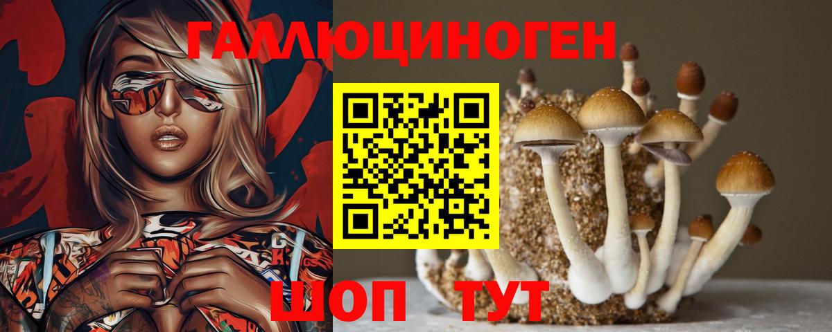 Усть-Лабинск  Псилоцибиновые грибы прущие грибы  Вход с VPN  Псилоцибиновые грибы Magic Shrooms 